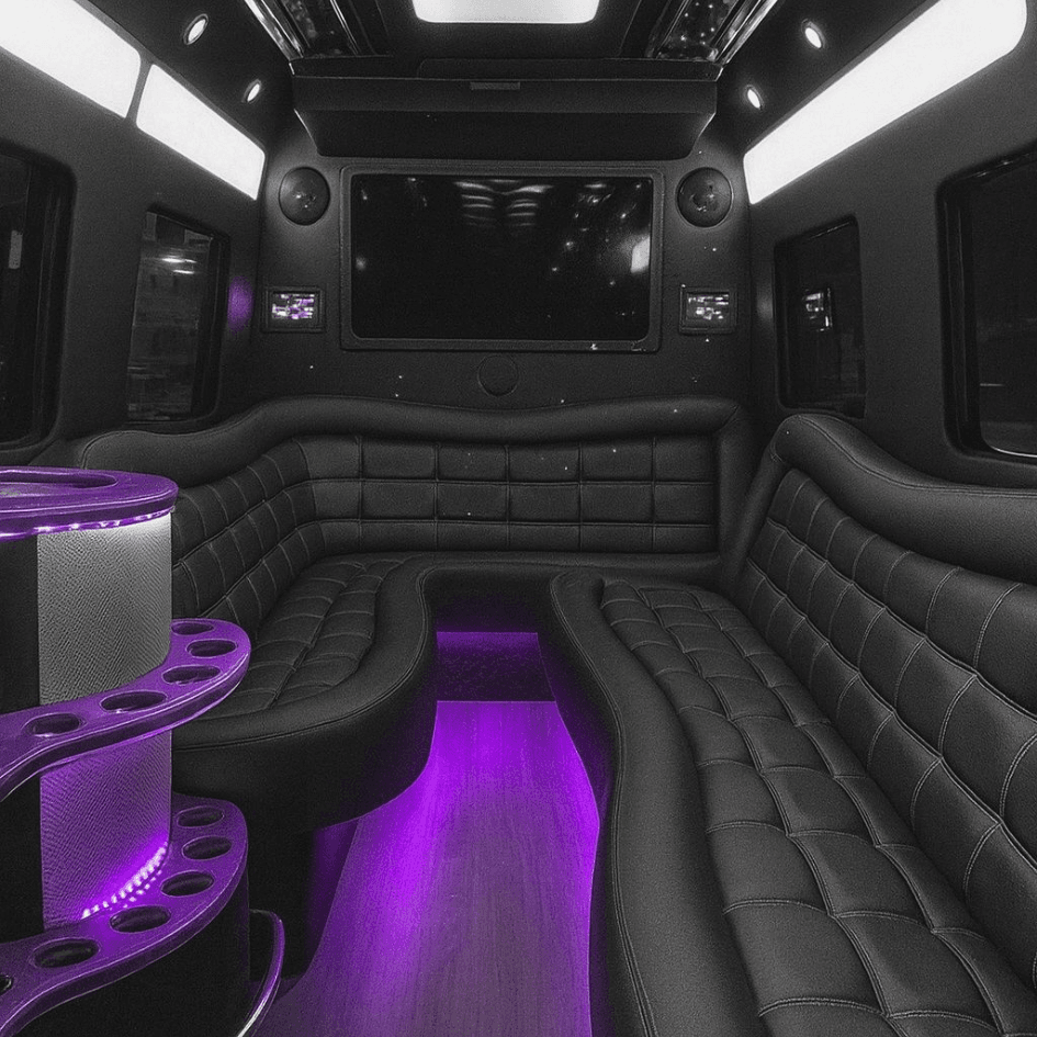 Mercedes-Benz Sprinter Van party bus in Chicago with leather seating Mercedes-Benz Sprinter Van party bus in Chicago with leather seating